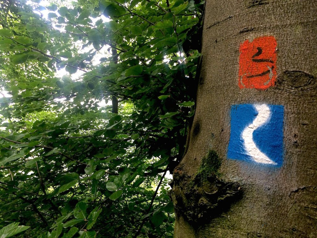 as blau-weiße Emblem des Rheinsteigs liefert unterwegs Orientierung