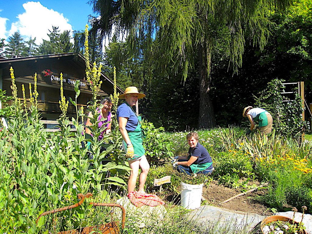 Der HildegardGarten in Reith Acht Frauen jäten, haken