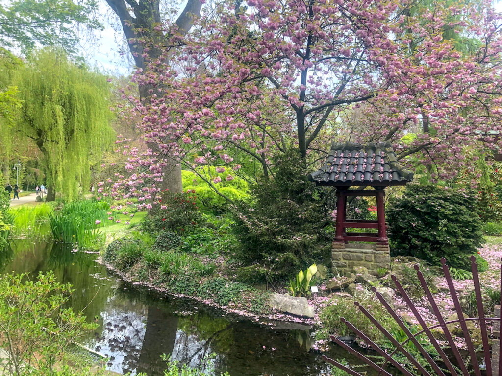 Mit dem Rhein-Ruhr-Express (RE 1) zum Japanischen Garten in Leverkusen