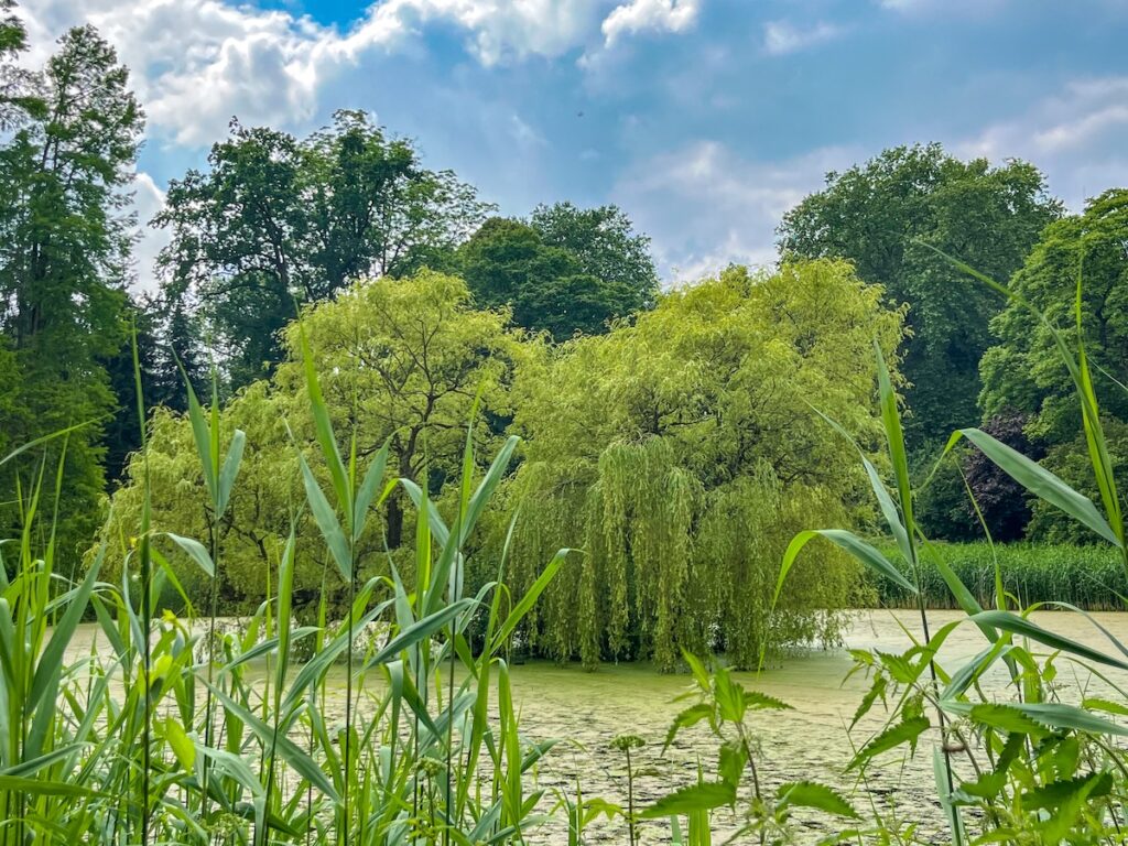 Die schönsten Gärten in NRW - Botanischer Garten Münster