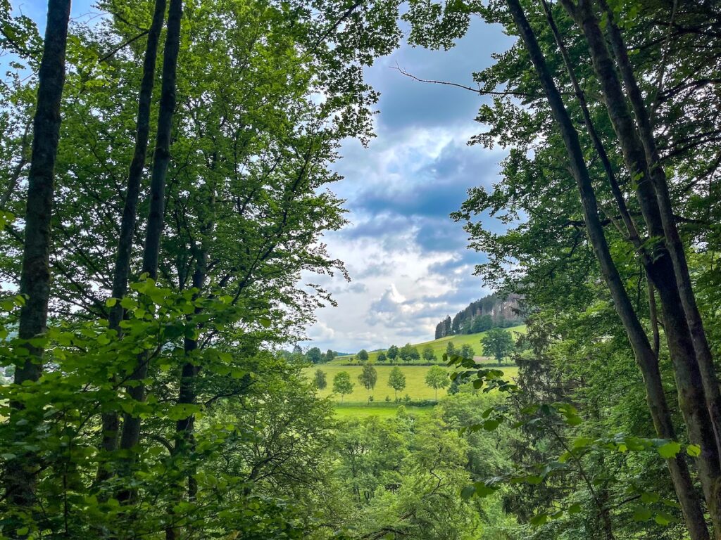 Landschaft im Sauerland 