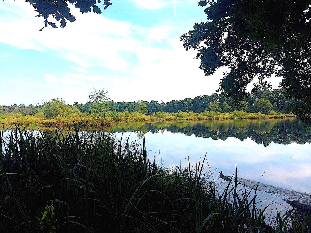 Wandern und Rudern um Witte Venn