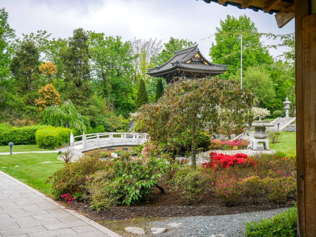 NRW zum Nulltarif – auch dieser wunderschöne japansiche Garten in Düsseldorf kann kostenlos besucht werden